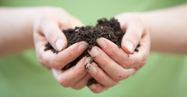 mains-dans-la-terre-2