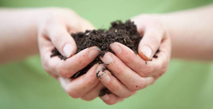 mains-dans-la-terre-2