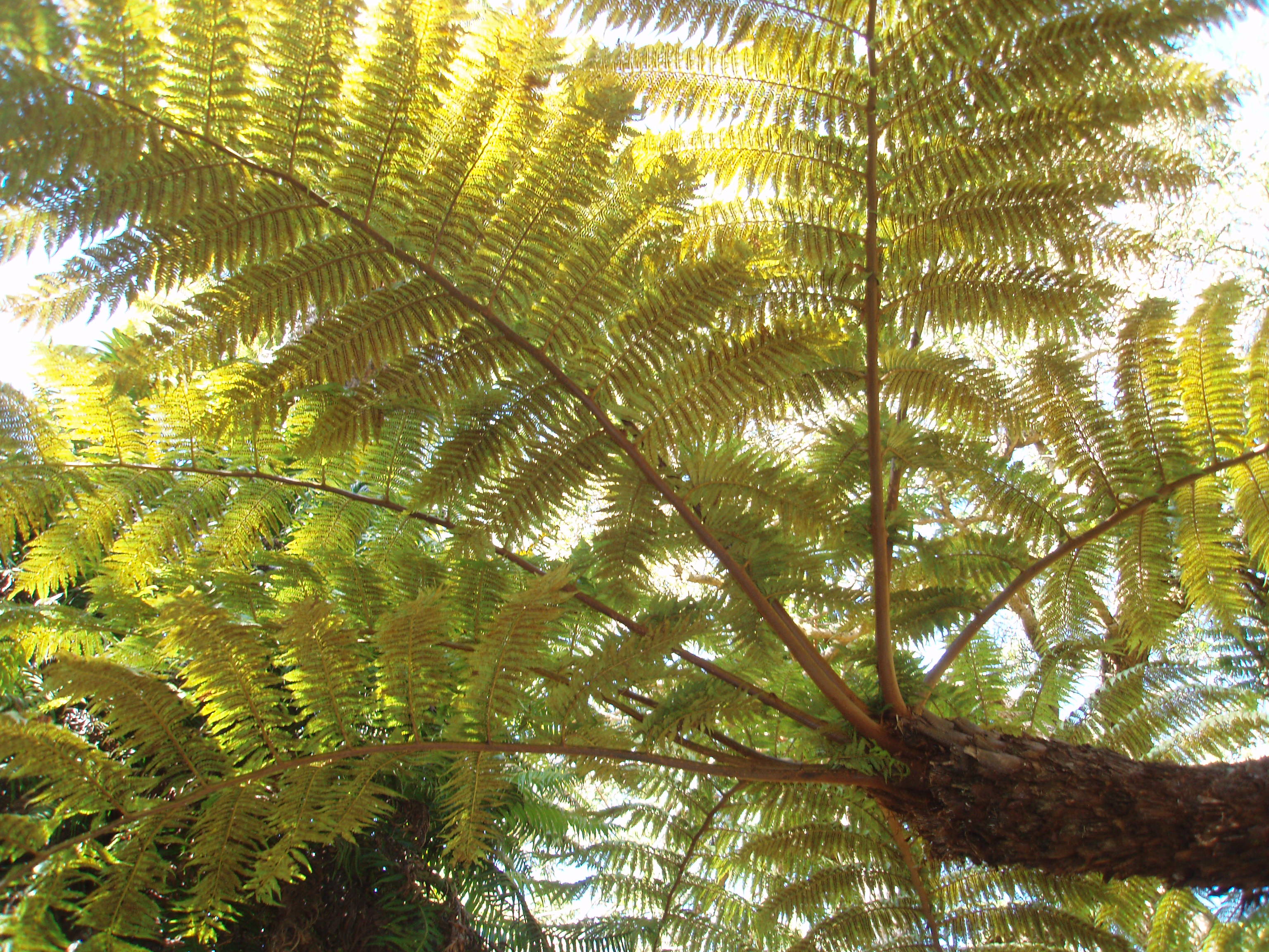 Cette image a un attribut alt vide ; le nom du fichier est p9092731.jpg